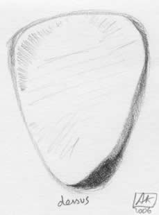 Turtle shell plectrum